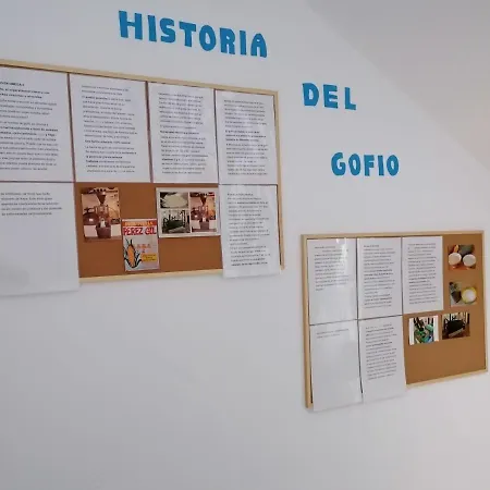 Gofioplaya 2.0 Arinaga